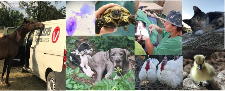 Facebook Banner 768x311